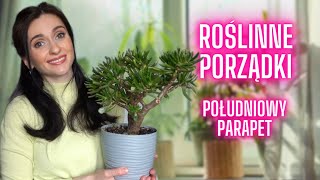 Roślinne porządki na parapetach 🌱Roślinki Gosi 🌱 Gosia i Miłosz [upl. by Campy]