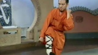 Shaolin Kung Fu 18 fight techniques [upl. by Radek]