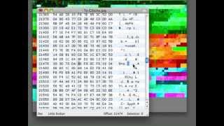HexEdit Glitch Tutorial with Evan Meaney [upl. by Kcirddot]