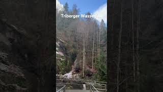 Triberg şelalesi youtubeshorts wasserfall deutschland [upl. by Maxantia]