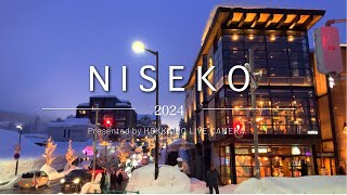 NISEKO 2024 with Laid Back Deep House  Hokkaido Live Camera [upl. by Afira892]