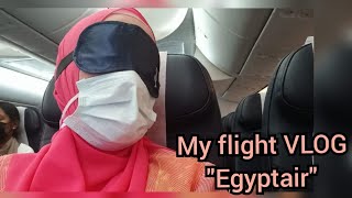 The truth about Egypt Air flight ✈ from Cairo to the USA [upl. by Gerty]