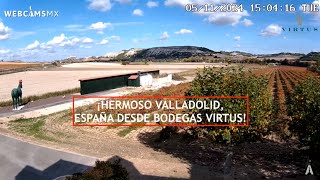 🍷🍇 VALLADOLID  ¡Hermosa España Virtus Bodegas Ribera del Duero EnVivo [upl. by Drapehs]