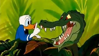 DONALD DUCK All Cartoon Full Episodes New English Compilation 2015 [upl. by Forrest]