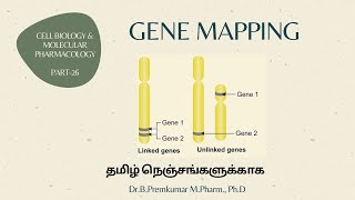 Gene mapping  CBMP26  Tamil [upl. by Amandy]