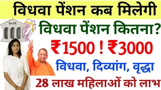 up mein vidhwa pension kitna milta hai 28 lakh pensioners  up vidhwa pension kab aayegi 2024 [upl. by Morey]