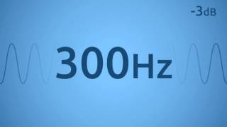 300 Hz Test Tone [upl. by Toblat]