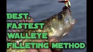 Best fastest walleye filleting method for maximum meat [upl. by Leonid]