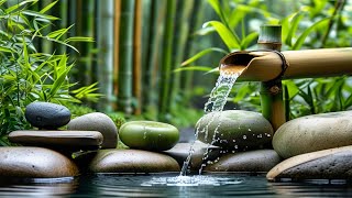 Relaxing Piano Music amp Water Sounds 247  Ideal for Stress Relief and Healing  Money Caller [upl. by Ariayek857]