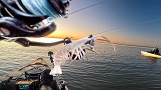 Slow Roll Striped Bass Fickle Fish amp Dragging Bottom [upl. by Ibok]