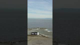 The Salton Sea From Mirage to Tragedy [upl. by Weissberg]