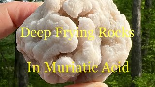 How I use Muriatic Acid to clean rocks 🧙🏻‍♂️ [upl. by Acihsay574]