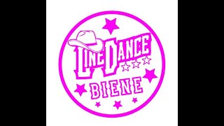 Off The Beaten Track Lernvideo Teach amp Dance Line Dance Biene Teil 2 [upl. by Berny225]