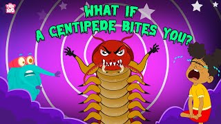 What if a Centipede Bites You  Are Centipedes Poisonous  Deadliest Insects  The Dr Binocs Show [upl. by Stalk223]