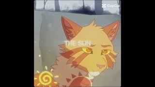 Sunstaramp Moonflower Credits in biowarriorcats warriorcatsultimateeditioncodes [upl. by Alroi]