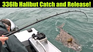 336lb Halibut Catch and Release Alaskan Halibut Fishing  Petersburg Alaska JULY 2024 halibut [upl. by Darcey997]