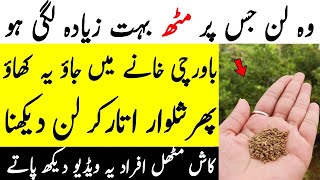 7 Health Benefits Of Eating Cumin Seeds with Water for Weight loss Skin amp Hair [upl. by Martz]