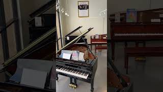 Steinway Spirio Model B [upl. by Einram]