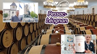 Le vignoble de Pessac  Léognan [upl. by Mort]