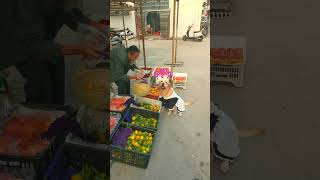 10元5個橘子，狗狗生氣找人算賬 oranges for 10 yuan the dog is angry and wants someone to settle the score [upl. by Shewmaker]