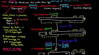 Enzyme Regulation Part 5 of 5  Covalent Modification  Irreversible [upl. by Nosae]