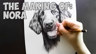 FlatCoated Retriever Speed Drawing [upl. by Kipper161]