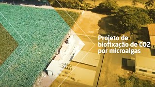 Projeto de biofixação de CO2 por microalgas [upl. by Helbonnas402]