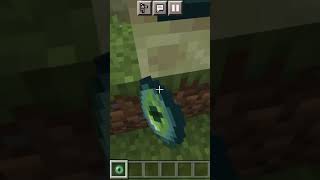 One block and Portal minecraft mchacks [upl. by Jocelyn524]