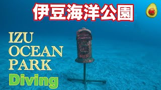 🥑IZU OCEAN PARK🤿日本ダイビング発祥の伊豆海洋公園でのんびりダイビング [upl. by Jocelyne385]