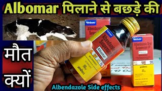 Albomar पिलाने से बछड़े की मौत क्योंCalf Albomar Side effectsAlbendazole Liquid [upl. by Jariah758]