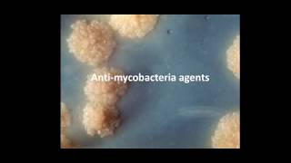 Antimycobacterial agents  Part One [upl. by Emlin]