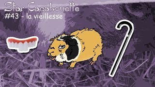 StarCacahouette 43  la vieillesse chez le cochon dInde [upl. by Timoteo]