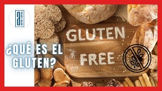 🍞¿ Qué es el GLUTEN  🍪  🤢¿ Por qué es MALO el GLUTEN  🙅‍♂️ 👨‍🔬Alimentos con Calidad ✅ [upl. by Juan]