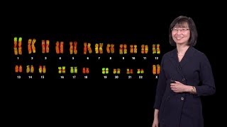 Jeannie Lee Harvard 1  X Chromosome Inactivation Making and Breaking the Silence [upl. by Downe650]