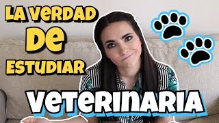 LO QUE DEBES SABER ANTES DE SER VETERINARIO 👩🏻‍⚕️🐶 [upl. by Latsirhc430]