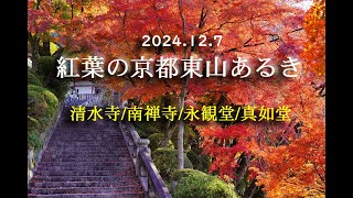 2024127紅葉の京都東山あるき [upl. by Nahpets]