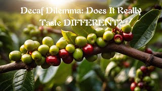 Decaf Dilemma Does It Really Taste DIFFERENT [upl. by Rother823]