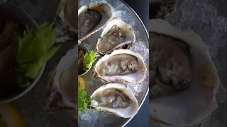 Indulge in Virginia Oyster Month on the Eastern Shore travel foodie visitva [upl. by Lyndy107]