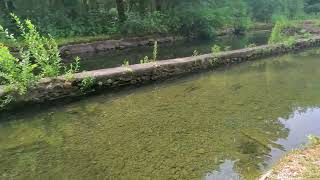 Wild Rose Fish Hatchery [upl. by Chesnut]