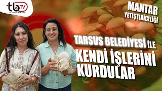 Tarsus Belediyesi ile Kendi İşlerini Kurdular  Mantar Yetiştiriciliği [upl. by Olocin]