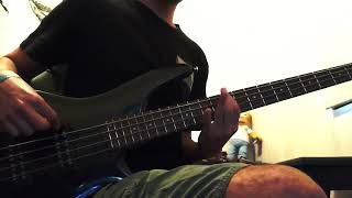 Dark necessitiesRHCP bass cover [upl. by Emilia]