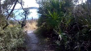 Grayton Beach State Park Campground Site 12 [upl. by Sirtimed]