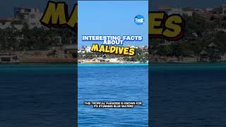 Interesting Facts About Maldives facts shortsviral [upl. by Swirsky]