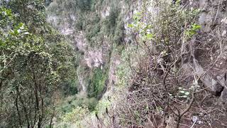 El Cedro Hermigua La Gomera [upl. by Rufina]