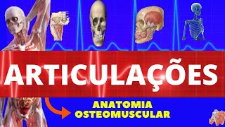 ARTICULAÇÕES  SINARTROSEANFIARTROSE E SINOVIAL  ESTRUTURAS E CLASSIFICAÇÕES  ANATOMIA HUMANA [upl. by Yticilef206]