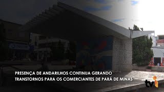 PRESENÇA DE ANDARILHOS CONTINUA GERANDO TRANSTORNOS PARA OS COMERCIANTES DE PARÁ DE MINAS [upl. by Anyalram801]