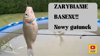 ZARYBIANIE BASENU 5 nowy gatunek ryby stan roslin [upl. by Benton426]