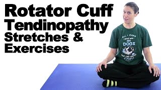 Rotator Cuff Tendinopathy Stretches amp Exercises  Ask Doctor Jo [upl. by Ajnat]