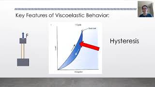 Biomechanics Tendon Viscoelasticity [upl. by Windy]