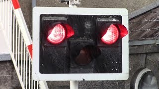 Railway Crossing  Athenry Train Station Galway [upl. by Avalsorim]